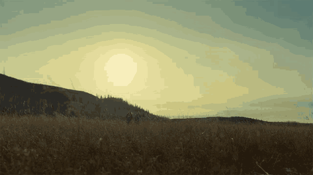 a field of tall grass with a mountain in the background and the sun shining through the clouds