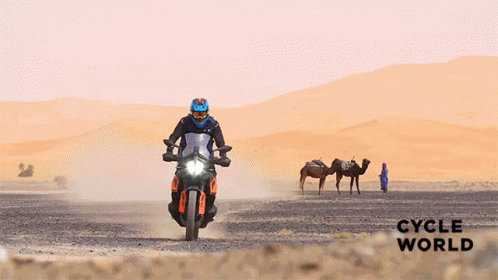 Arriving Im Coming GIF - Arriving Im Coming Motor Cross GIFs
