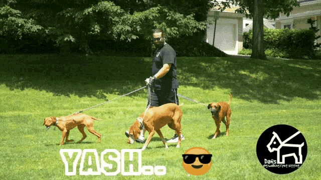 a man is walking three dogs in a park with a dash.co logo in the corner