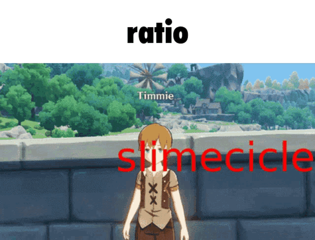 a video game character named timmie is standing in front of a wall
