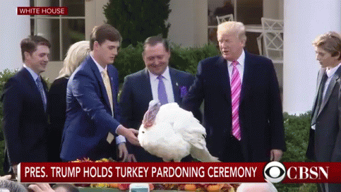 Presidential Turkey Pardon GIF - Trump Thanksgiving GIFs