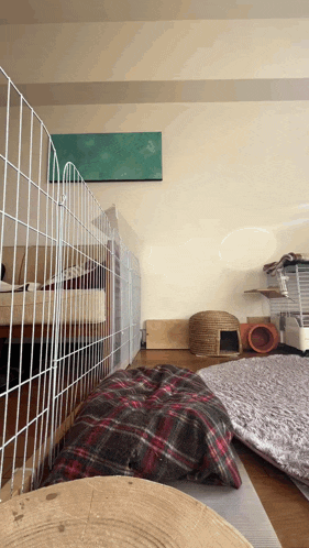 a plaid pillow sits on the floor in a room