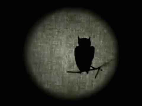 Supernatural Owl GIF - Supernatural Owl GIFs