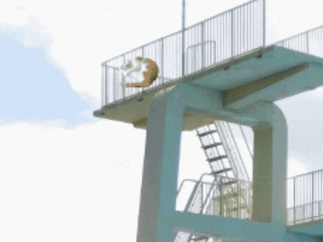 Cat Diving Diving Cat GIF - Cat Diving Diving Cat Reneesancefair GIFs