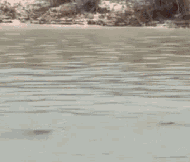 Drown Boat GIF - Drown Boat GIFs