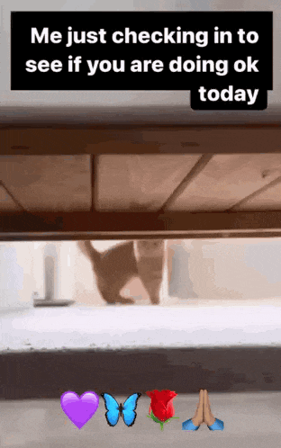 a cat is peeking out from under a table with a caption that says me just checking in to see if you are doing ok today