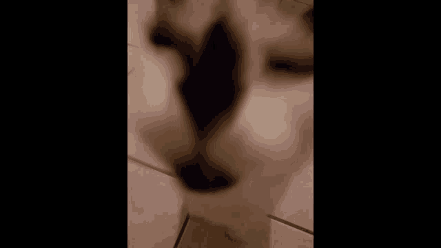 a close up of a cat 's face on a tile floor