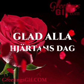 a red rose with the words glad alla hjartans dag