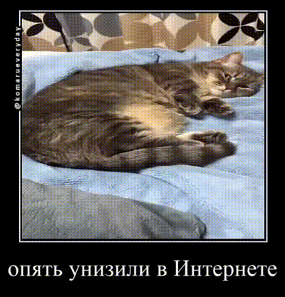 a picture of a cat laying on a bed in a frame with russian writing