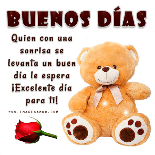 a teddy bear sitting next to a red rose with the words buenos dias