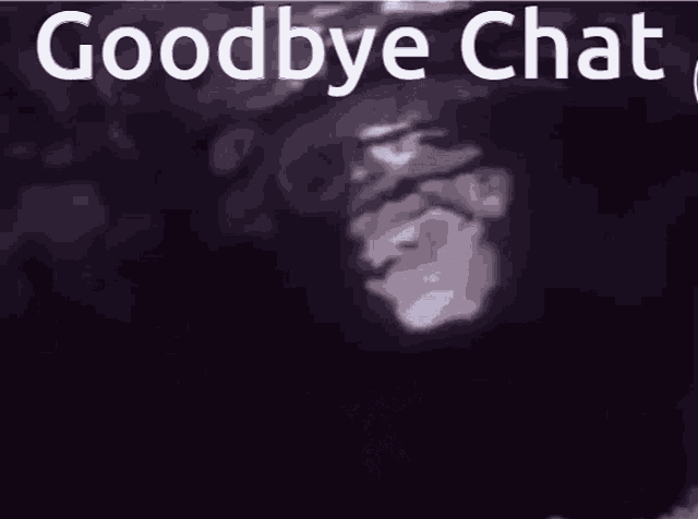 a cartoon character is standing in the dark with the words `` goodbye chat '' above him .
