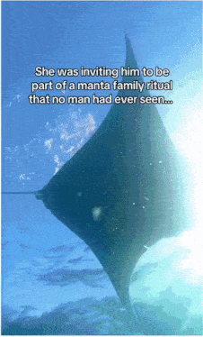 a picture of a manta ray with a caption that says she was inviting him to be part of a manta family ritual