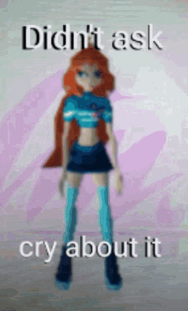 a picture of a cartoon character with the words didn 't ask cry about it
