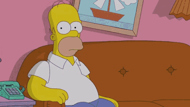 homer simpson sits on a brown couch in front of a picture of a boat