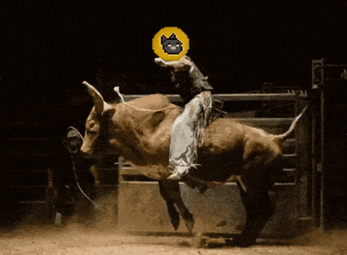 a man riding a bull in a rodeo with a pixelated cat on his head