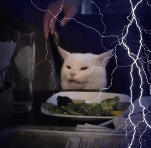 Smudge Smudge Cat GIF - Smudge Smudge Cat Lightning GIFs