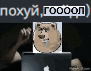 a cartoon of a bear sitting in front of a laptop with the words poxyu gooool above it