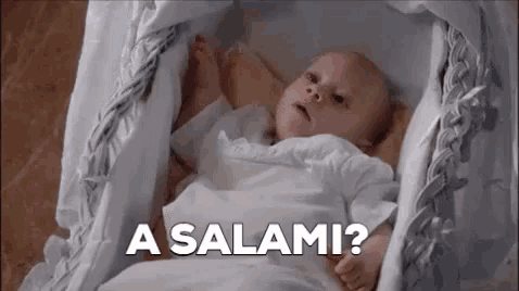 a baby is laying in a crib with the words `` a salami '' written on the bottom .