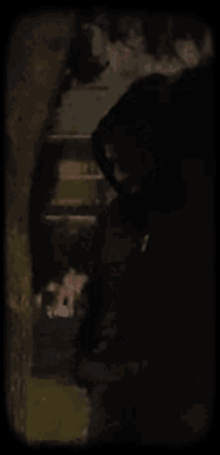 a silhouette of a person standing next to a tree .