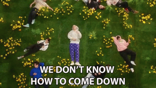 We Dont How To Come Down So High GIF - We Dont How To Come Down So High Cant Get Down GIFs