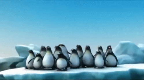 Smart Penguins GIF - Penguins Audio Travel In Groups GIFs