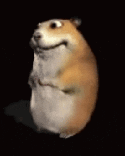 a hamster is standing on its hind legs and smiling in a dark room .