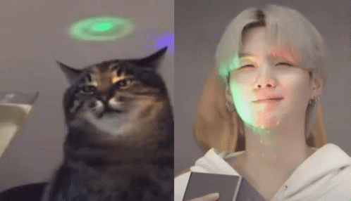 Yoongi Cat Munaz GIF - Yoongi Cat Munaz GIFs