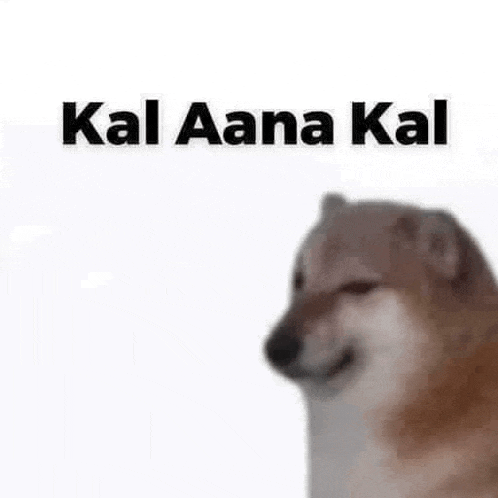 a dog is sitting in front of a white background with the words kal aana kal written on it .