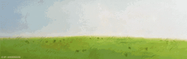 a cartoon of snoopy standing in a grassy field holding a book .