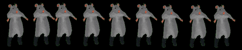 a row of white mice with orange eyes are standing in a row on a black background