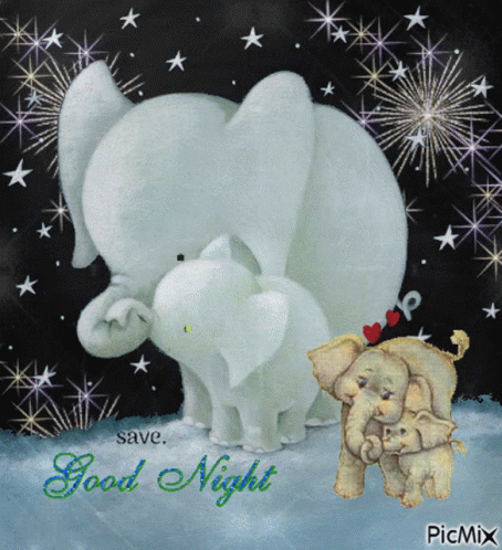 Good Night Elephant GIF - Good Night Elephant Blink GIFs