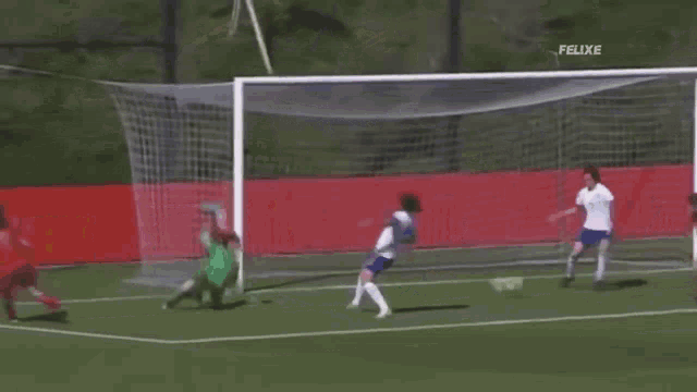 a soccer field with a sign that says felix