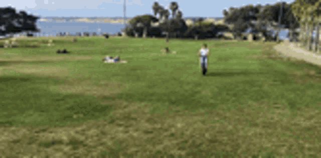 a person is riding a scooter in a park .
