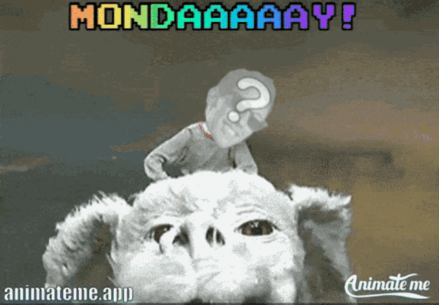 an animate me app shows a person riding a dog