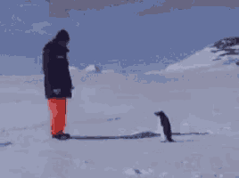 a man in a black jacket and orange pants stands next to a penguin in the snow