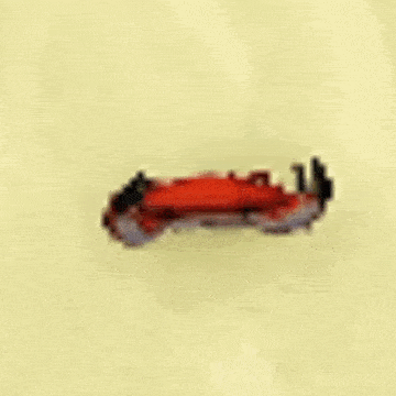a red crab is sitting on a piece of paper on a yellow background .