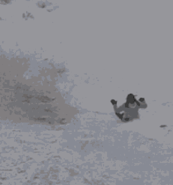 Marlien Snow GIF - Marlien Snow Sleeen GIFs