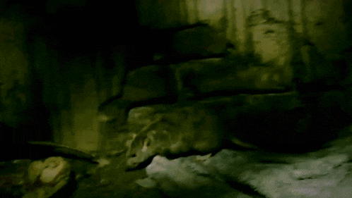 a painting of a rat laying on the ground in front of a brick wall