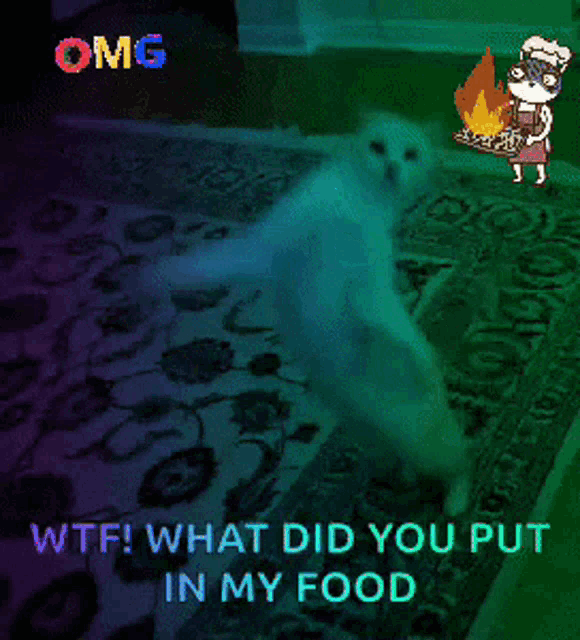 a cartoon of a cat with the words wtf what did you put in my food below it