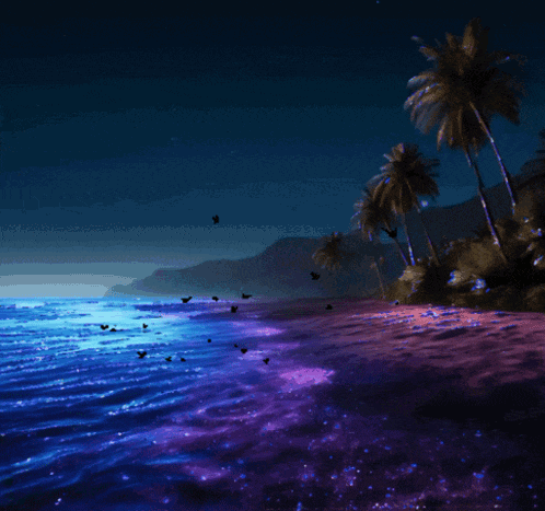 a picture of a beach with the words good night written on it