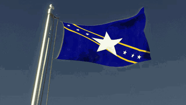 a blue flag with yellow stripes and a white star on it