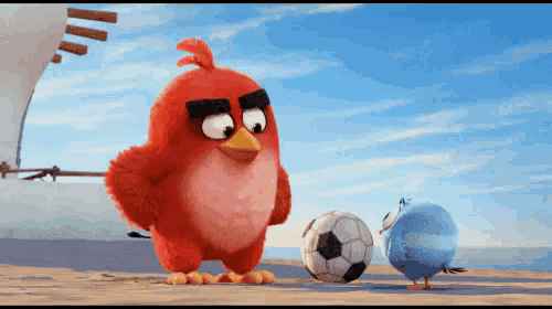 angry birds playing with soccer balls on the beach
