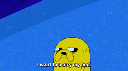 Jake The Dog GIF - Adventure Time Jake Marry My Bed GIFs
