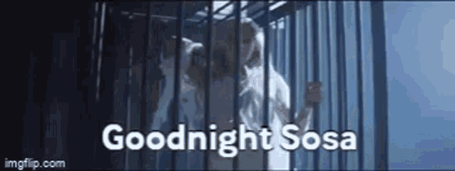 a man is standing in a cage with the words `` goodnight sosa '' written on the bottom .