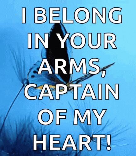 Butterfly Belong In Your Arms GIF - Butterfly Belong In Your Arms Captain Of My Heart GIFs
