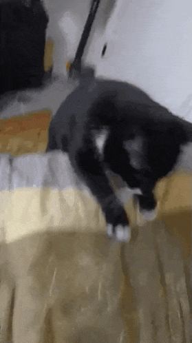 a black and white cat is laying on a bed with a yellow blanket .