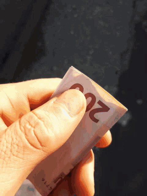 a person is holding a twenty euro bill in their hand