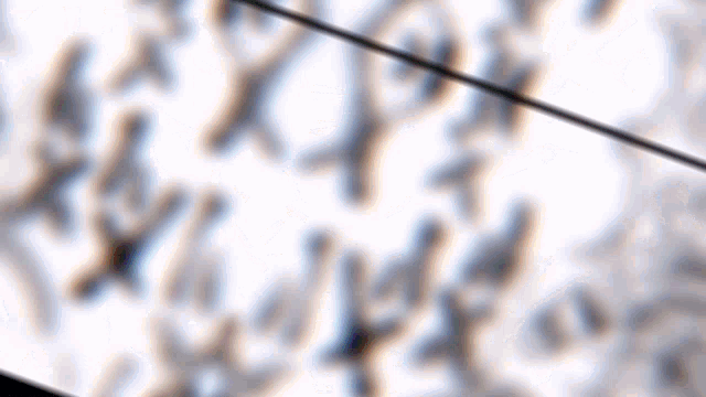 a blurred image of a white background with a few black lines