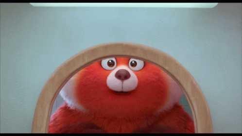 Turning Red Red Panda GIF - Turning Red Red Panda Surprised GIFs