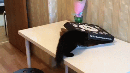 Cat Pizza GIF - Cat Pizza Steal GIFs